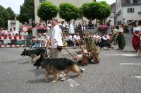 IMG_6354 (2) 